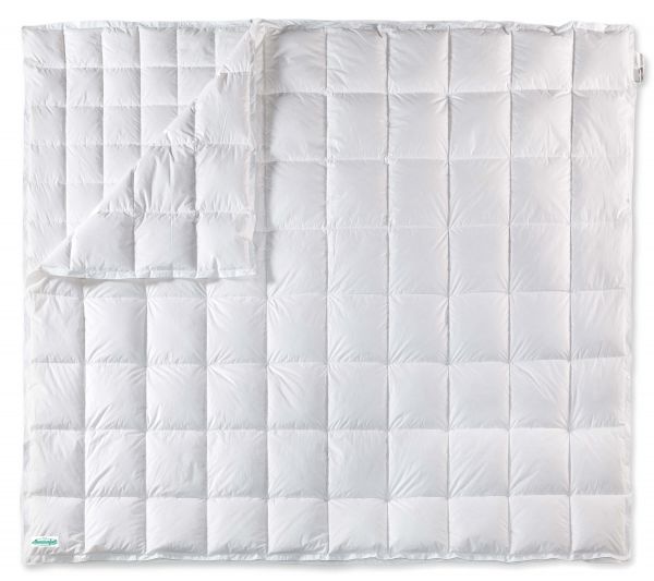Круглогодичное одеяло Iglu Goose-100 CL1 (4 Сезона)