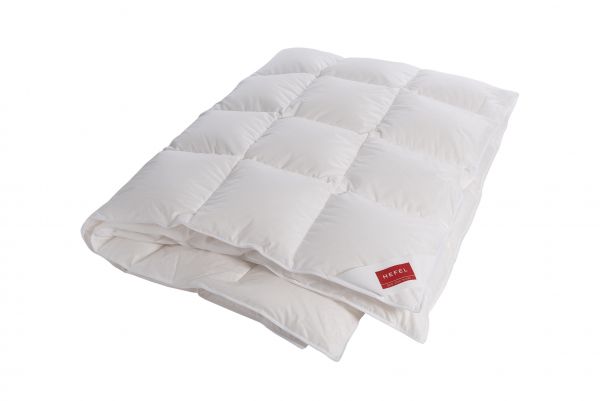Одеяло Eiderdown Batiste Winter